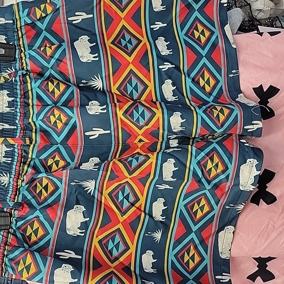 Western Serape Buffalo Aztec Horizonal Striped 2xl Shorts - Picture 5 of 6
